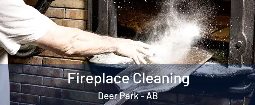  Fireplace Cleaning Deer Park - AB