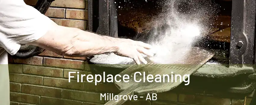  Fireplace Cleaning Millgrove - AB