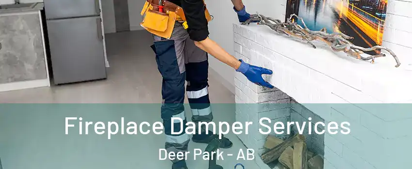  Fireplace Damper Services Deer Park - AB
