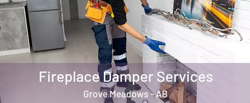  Fireplace Damper Services Grove Meadows - AB