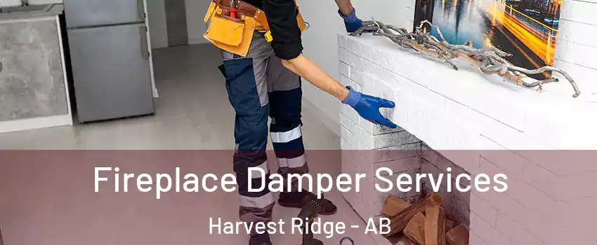  Fireplace Damper Services Harvest Ridge - AB