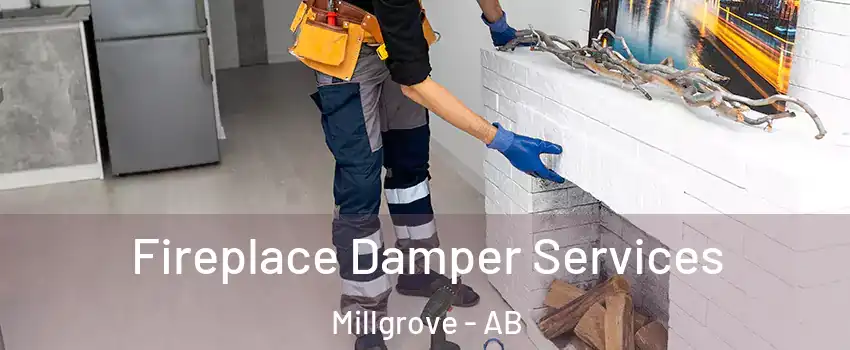  Fireplace Damper Services Millgrove - AB