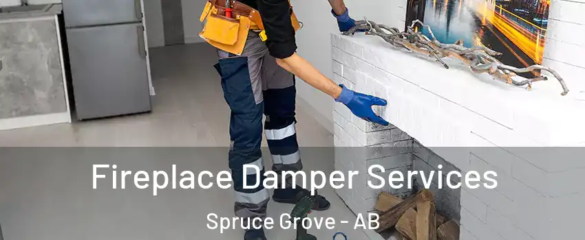  Fireplace Damper Services Spruce Grove - AB