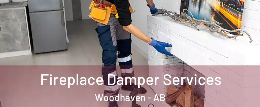  Fireplace Damper Services Woodhaven - AB
