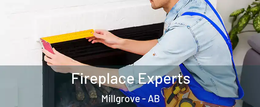  Fireplace Experts Millgrove - AB