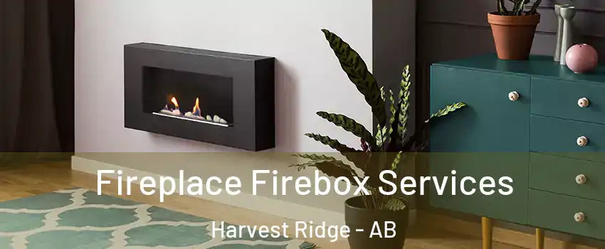 Fireplace Firebox Services Harvest Ridge - AB
