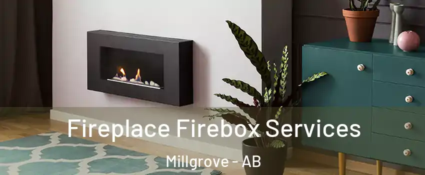  Fireplace Firebox Services Millgrove - AB