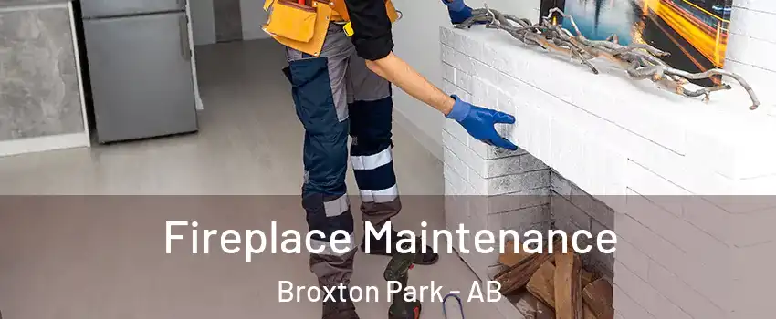  Fireplace Maintenance Broxton Park - AB