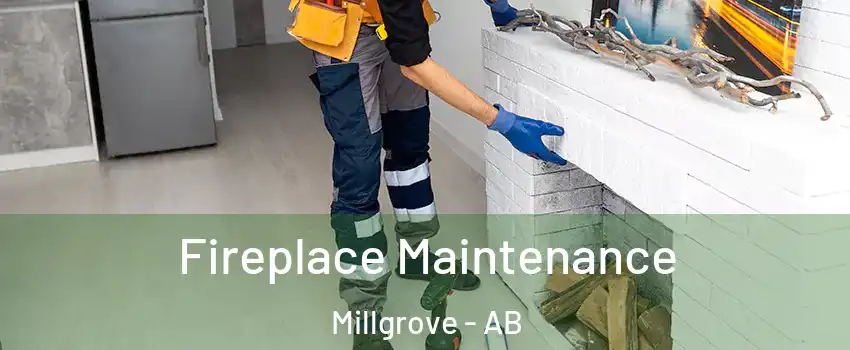  Fireplace Maintenance Millgrove - AB