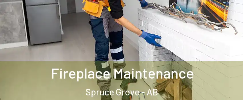  Fireplace Maintenance Spruce Grove - AB