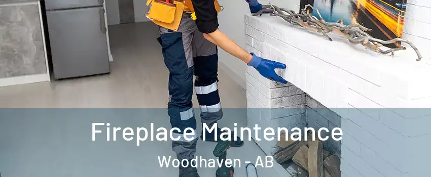  Fireplace Maintenance Woodhaven - AB