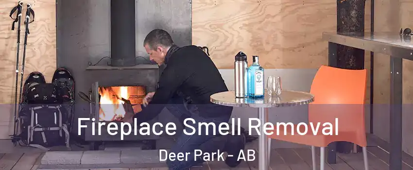  Fireplace Smell Removal Deer Park - AB