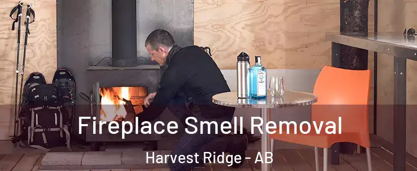  Fireplace Smell Removal Harvest Ridge - AB