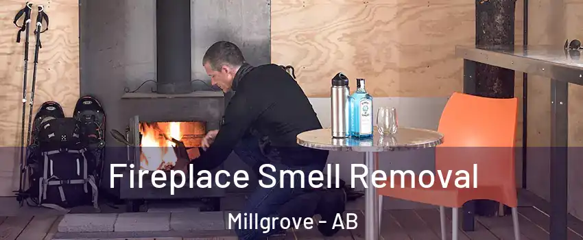  Fireplace Smell Removal Millgrove - AB