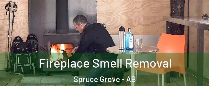  Fireplace Smell Removal Spruce Grove - AB
