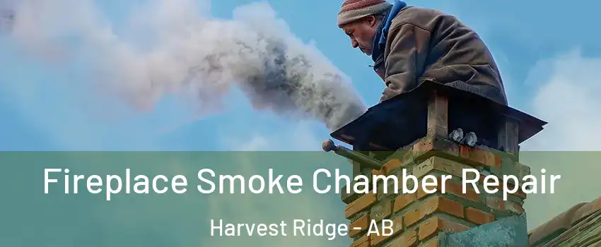  Fireplace Smoke Chamber Repair Harvest Ridge - AB