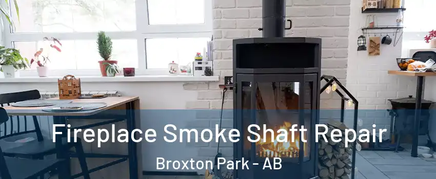  Fireplace Smoke Shaft Repair Broxton Park - AB
