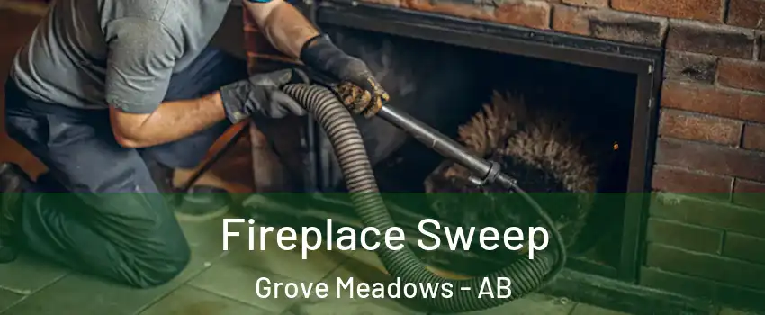  Fireplace Sweep Grove Meadows - AB
