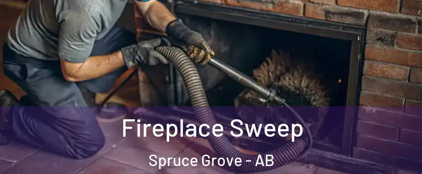  Fireplace Sweep Spruce Grove - AB