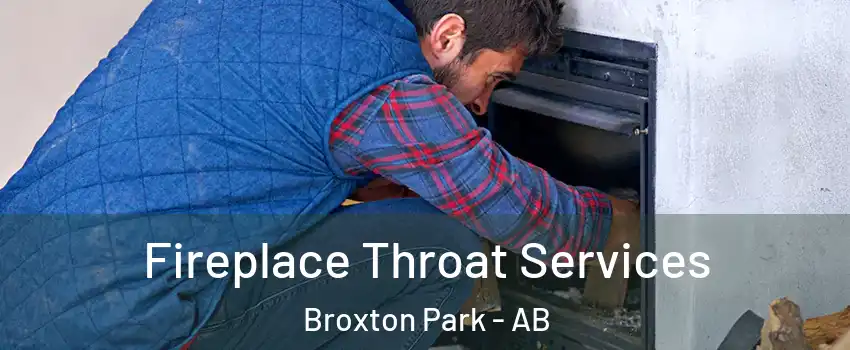  Fireplace Throat Services Broxton Park - AB