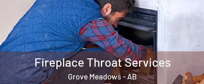  Fireplace Throat Services Grove Meadows - AB