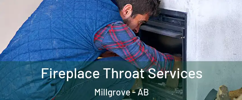  Fireplace Throat Services Millgrove - AB