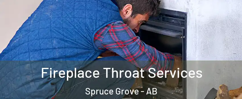  Fireplace Throat Services Spruce Grove - AB