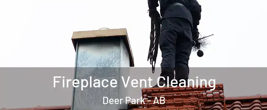  Fireplace Vent Cleaning Deer Park - AB