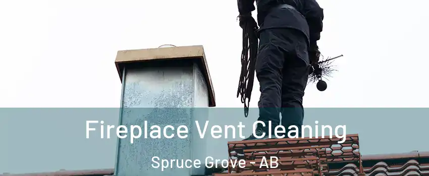  Fireplace Vent Cleaning Spruce Grove - AB