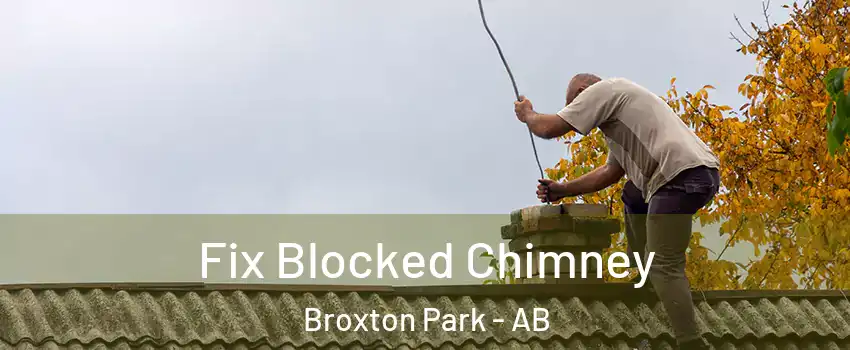  Fix Blocked Chimney Broxton Park - AB