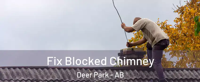  Fix Blocked Chimney Deer Park - AB