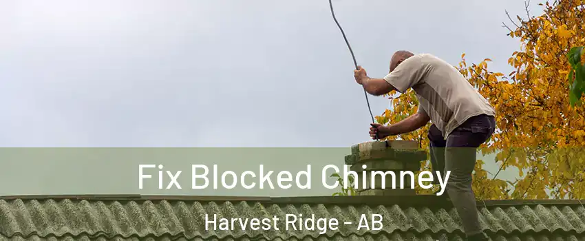  Fix Blocked Chimney Harvest Ridge - AB