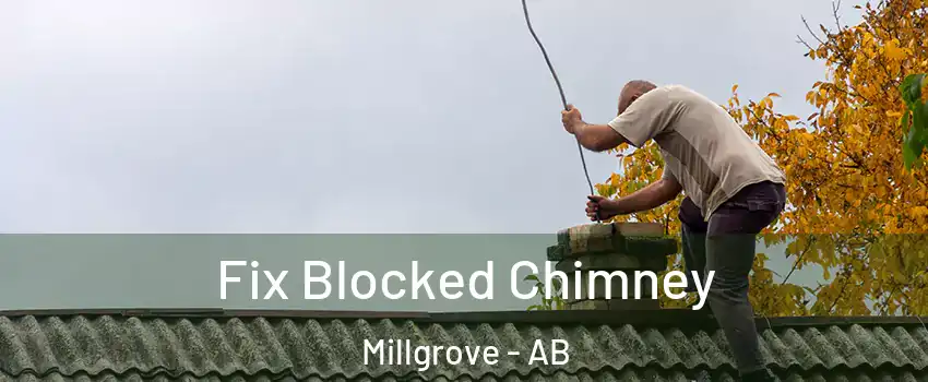  Fix Blocked Chimney Millgrove - AB