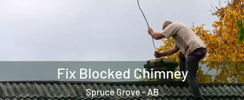  Fix Blocked Chimney Spruce Grove - AB