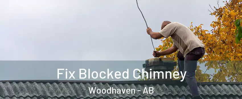  Fix Blocked Chimney Woodhaven - AB