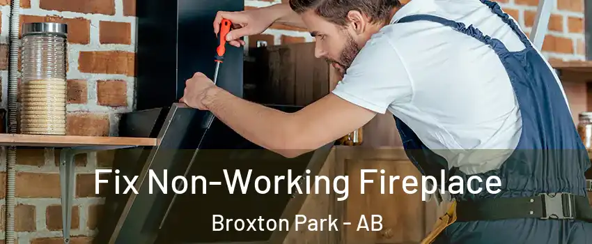  Fix Non-Working Fireplace Broxton Park - AB
