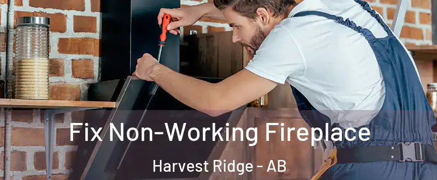  Fix Non-Working Fireplace Harvest Ridge - AB