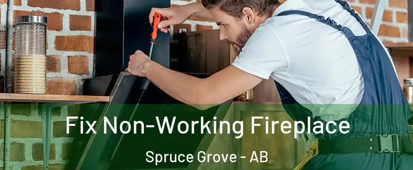  Fix Non-Working Fireplace Spruce Grove - AB