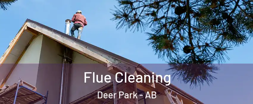  Flue Cleaning Deer Park - AB