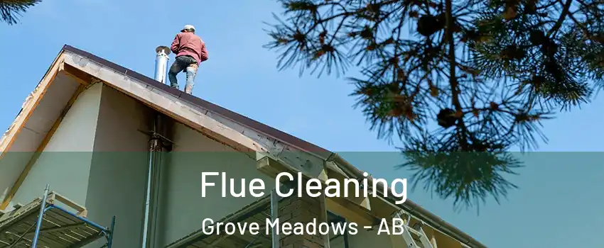  Flue Cleaning Grove Meadows - AB