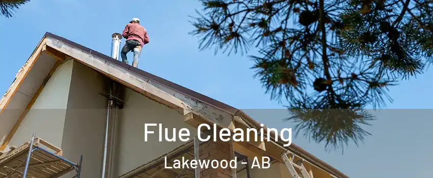  Flue Cleaning Lakewood - AB