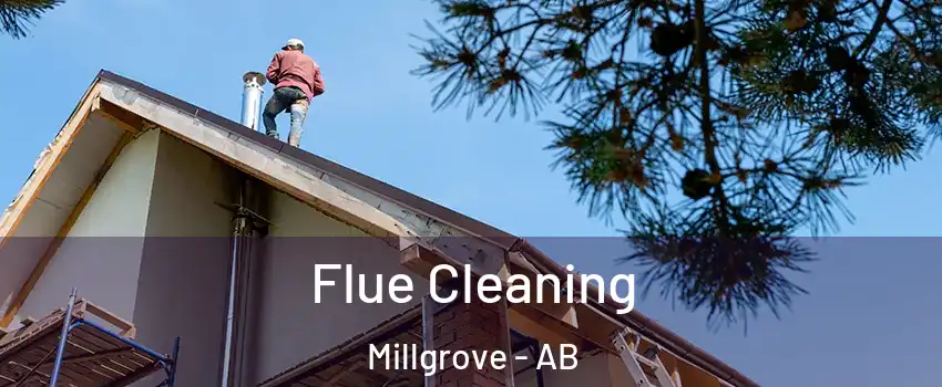  Flue Cleaning Millgrove - AB