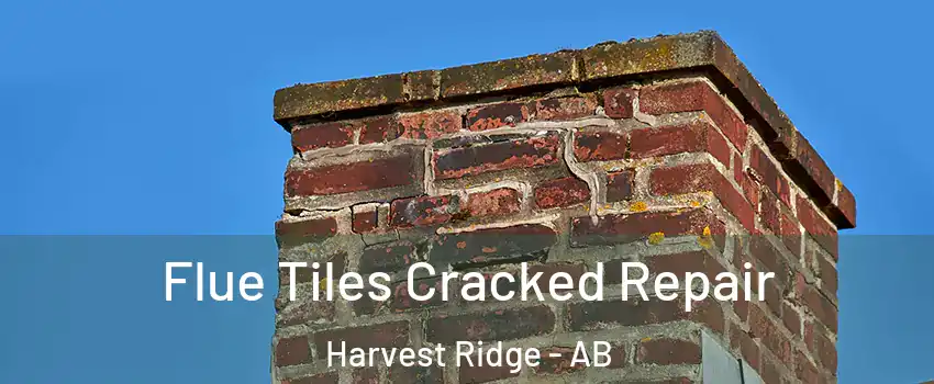  Flue Tiles Cracked Repair Harvest Ridge - AB