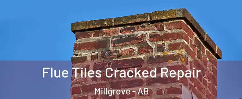  Flue Tiles Cracked Repair Millgrove - AB