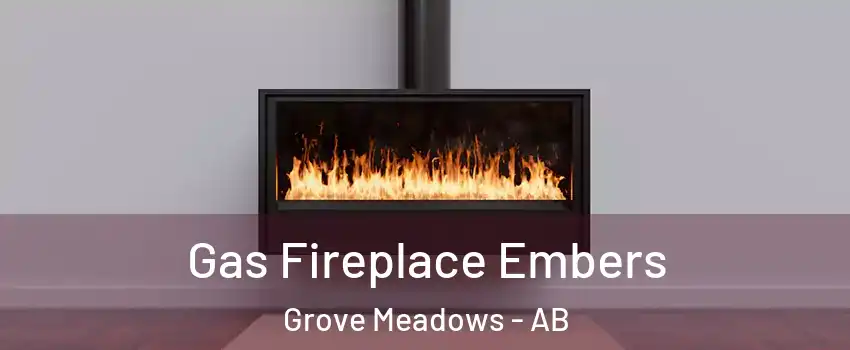  Gas Fireplace Embers Grove Meadows - AB