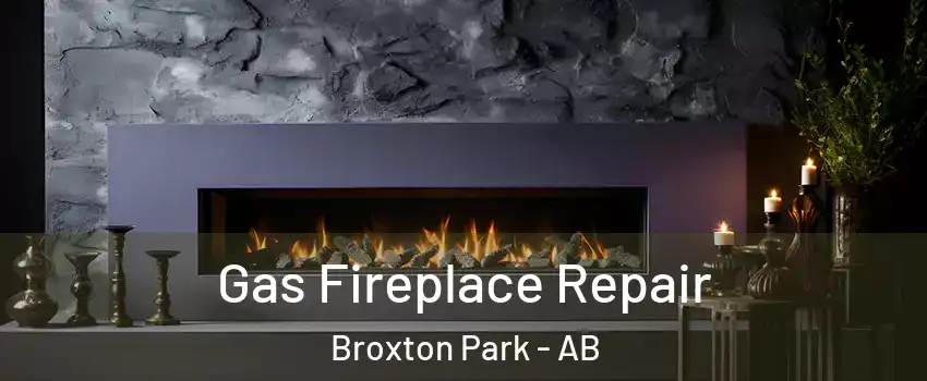  Gas Fireplace Repair Broxton Park - AB