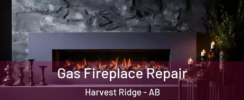  Gas Fireplace Repair Harvest Ridge - AB