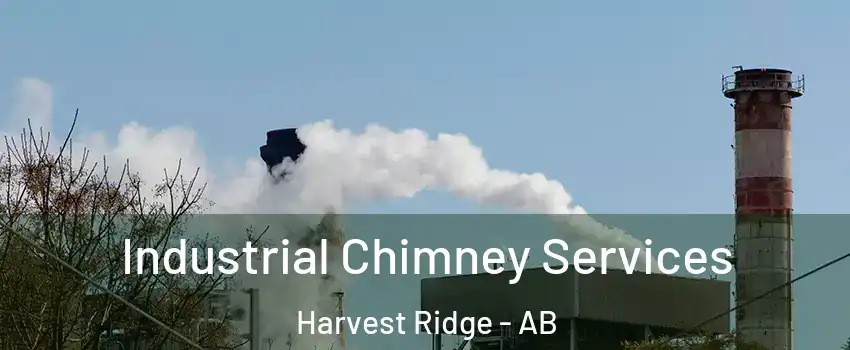  Industrial Chimney Services Harvest Ridge - AB