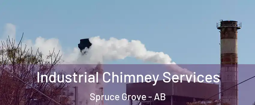  Industrial Chimney Services Spruce Grove - AB