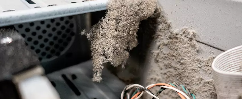 Clogged Dryer Vent Lint Cleaning in Spruce Grove, Alberta